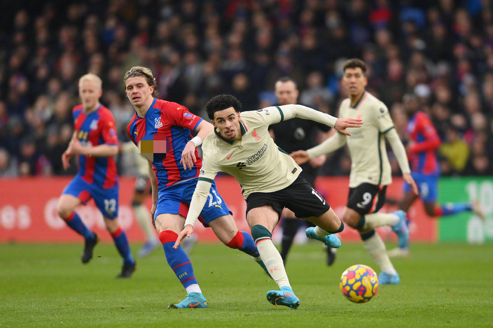 比如在最新 比如在最新